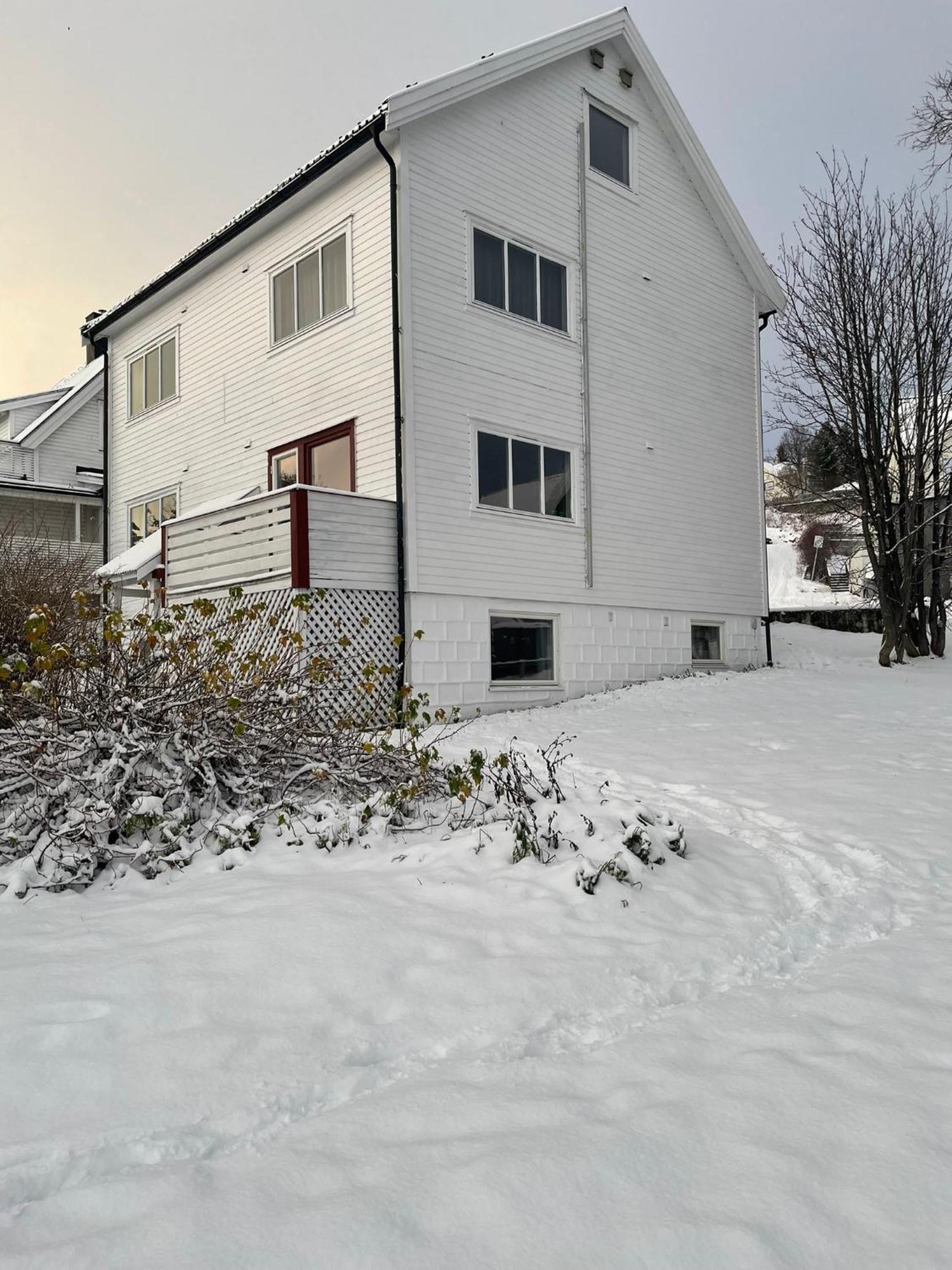 The Aurora Garden - 1Bedroom Apartment - Walking Distance From City Center 特罗姆瑟 外观 照片